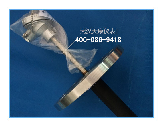 防腐热电阻