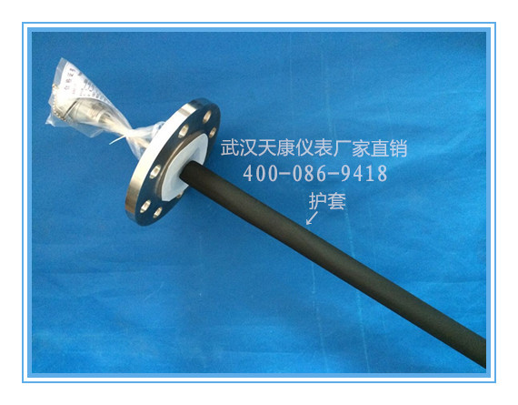 防腐热电阻