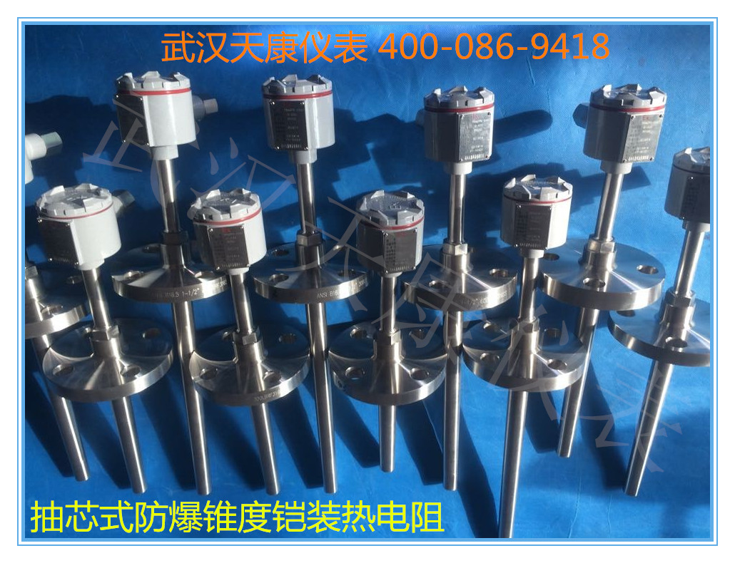 防爆热电阻