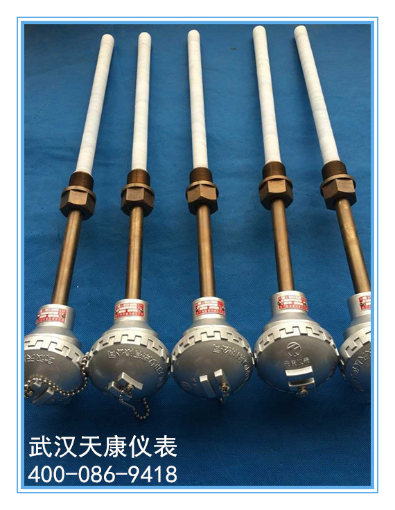 防腐热电阻