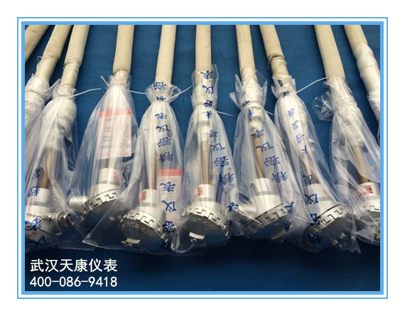 防腐热电阻